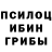 Псилоцибиновые грибы мицелий Nastya N.
