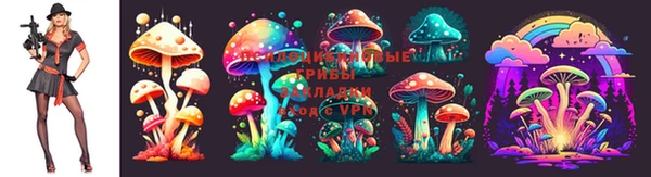 бошки Абдулино