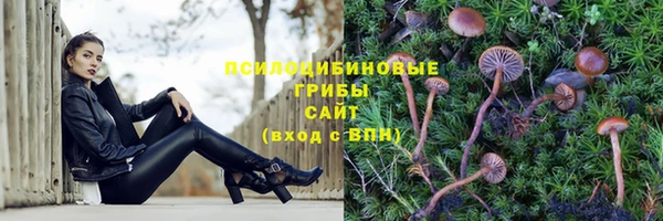 марки lsd Абаза